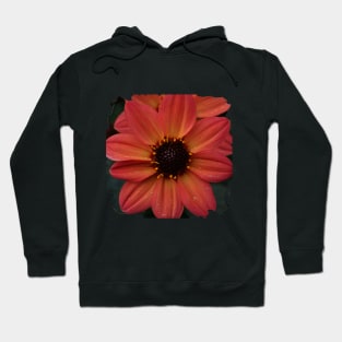 Dahlia Flower Hoodie